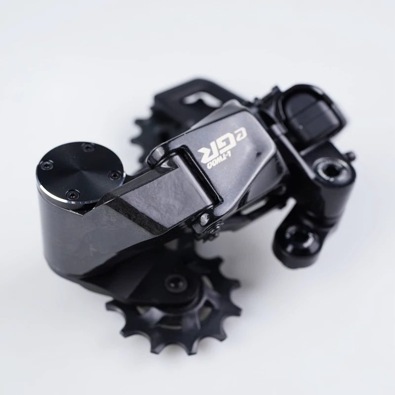 LTWOO eGR Electronic Groupset Gravel Bike, aluminium alloy, Hydraulic Disc Brake , 1*10S/11S/12s Speed adjustment